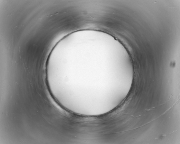 X0000093721479200711131001