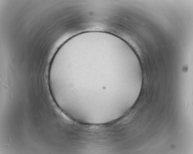 X0000093721480200711131001