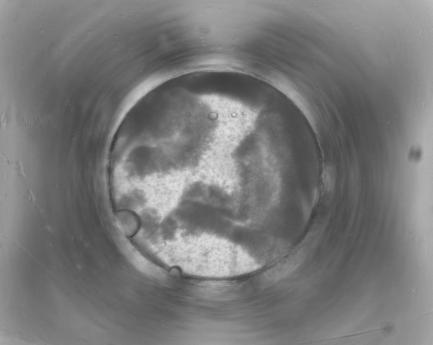 X0000093721482200711131001