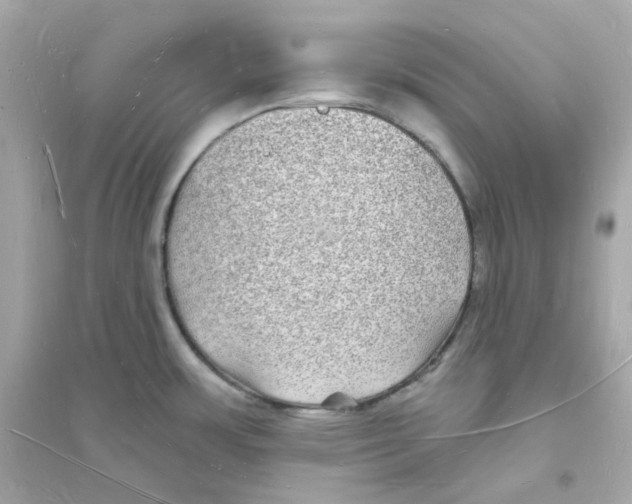 X0000093721483200711131001