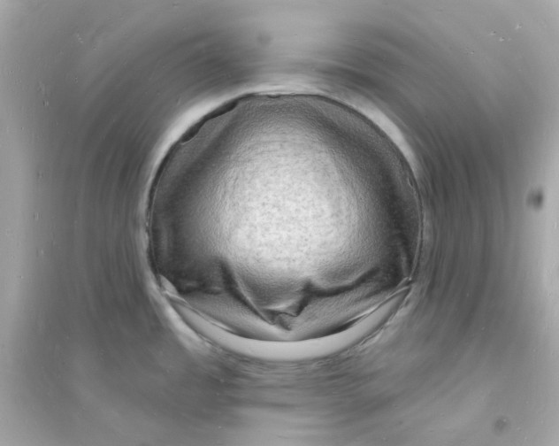 X0000093721485200711131001