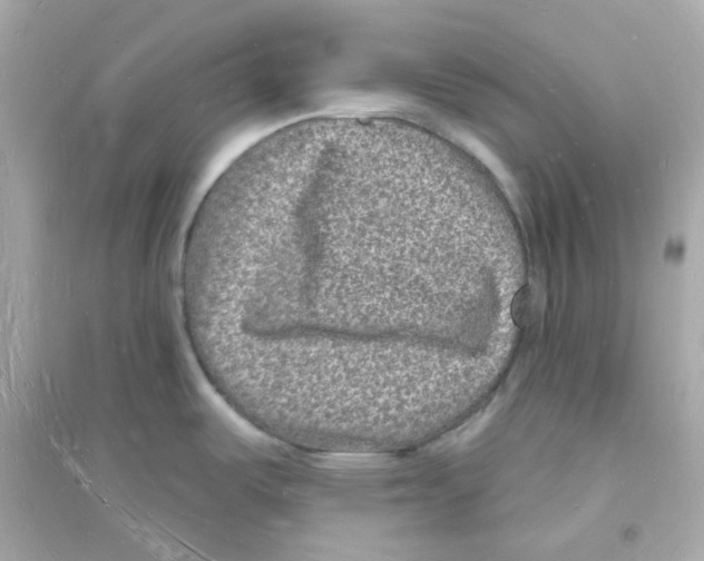 X0000093721487200711131001