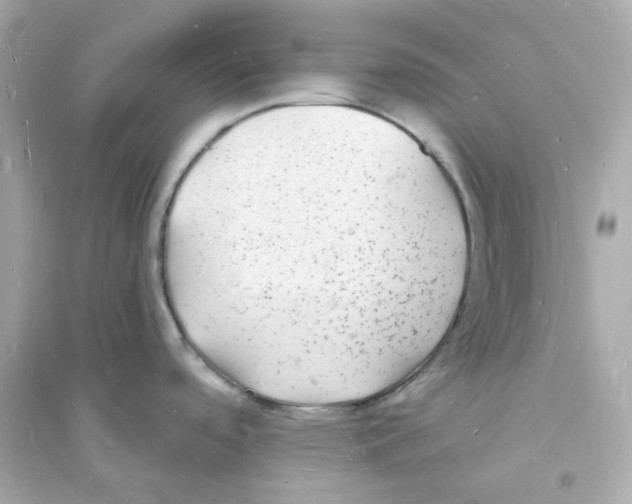 X0000093721488200711131001