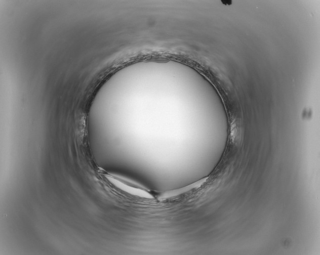 X0000093721492200711131000