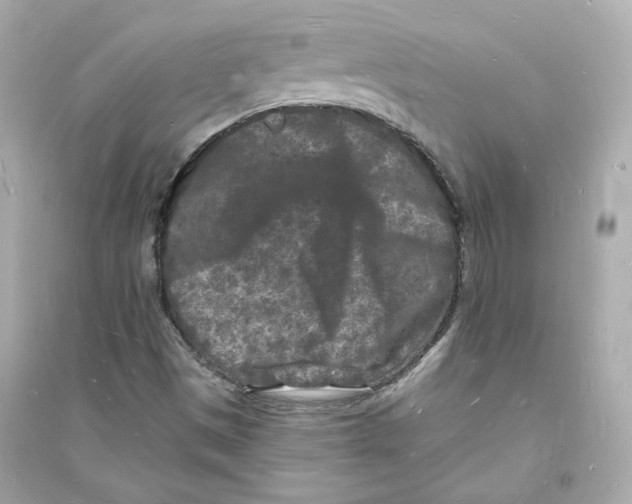 X0000093721497200711131000