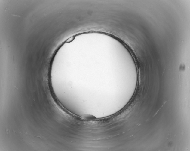 X0000093721500200711131000