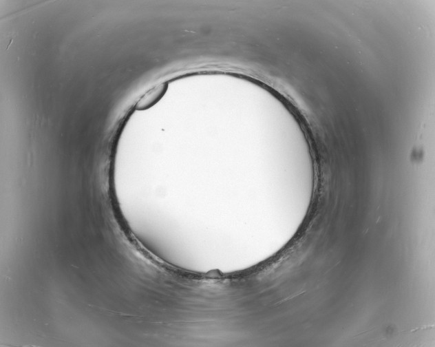 X0000093721504200711131001