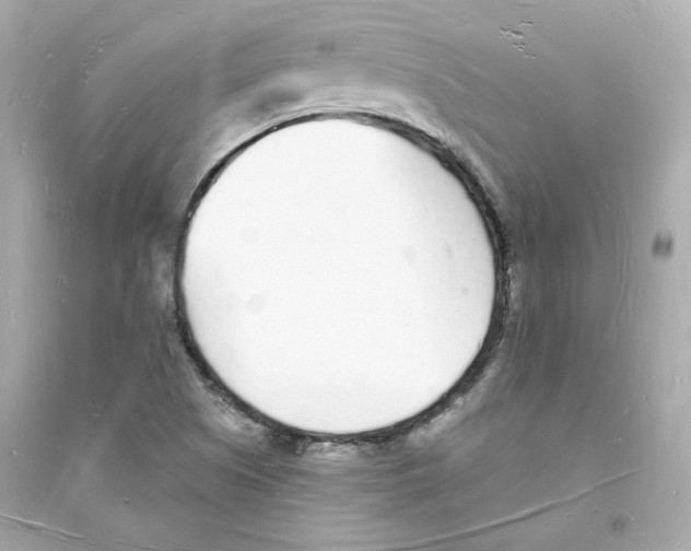 X0000093721505200711131001