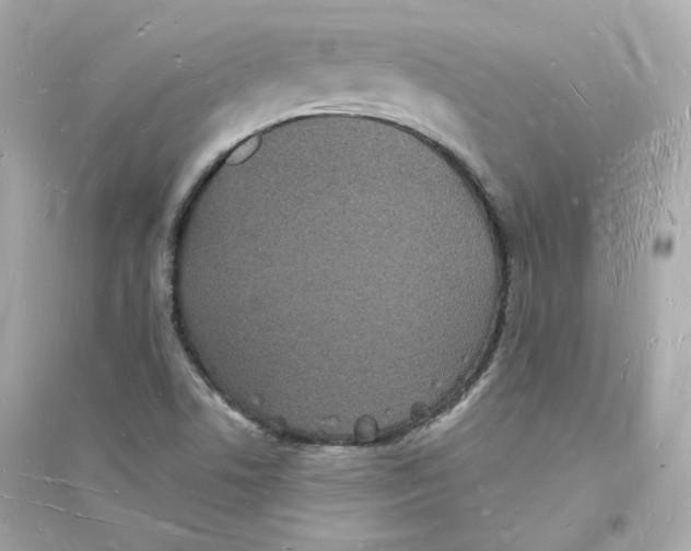 X0000093721506200711131001