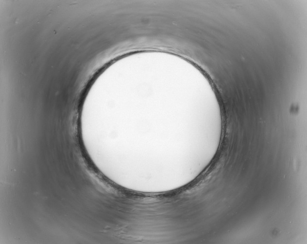 X0000093721507200711131001