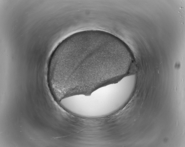 X0000093721508200711131001