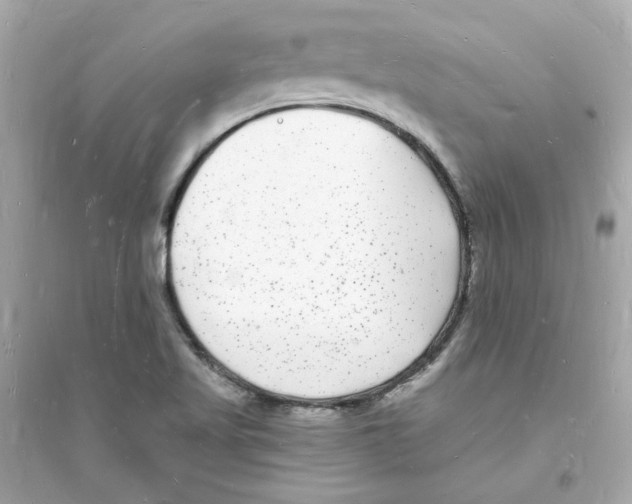 X0000093721509200711131001