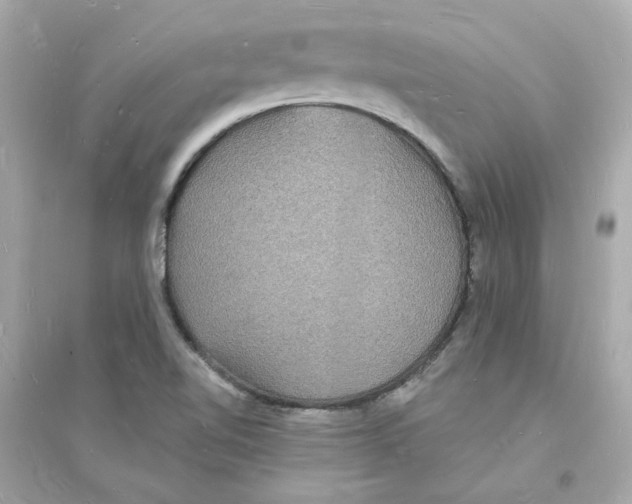 X0000093721510200711131001