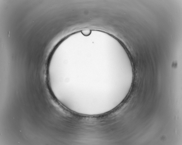 X0000093721511200711131001