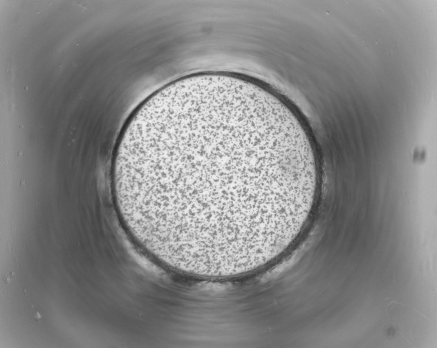 X0000093721513200711131001