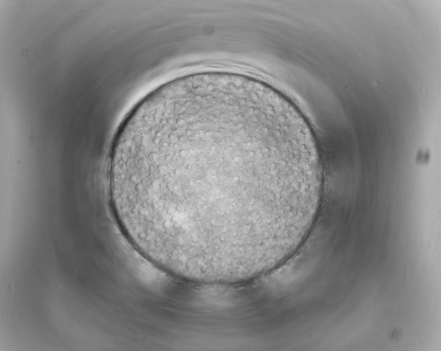 X0000093721514200711131001