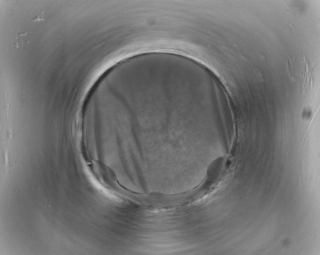 X0000093721515200711131001