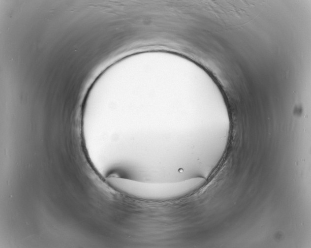 X0000093721516200711131001