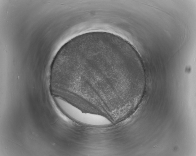 X0000093721519200711131001