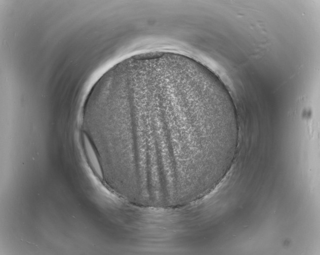 X0000093721520200711131001