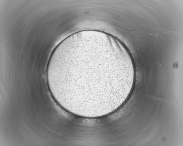 X0000093721521200711131001