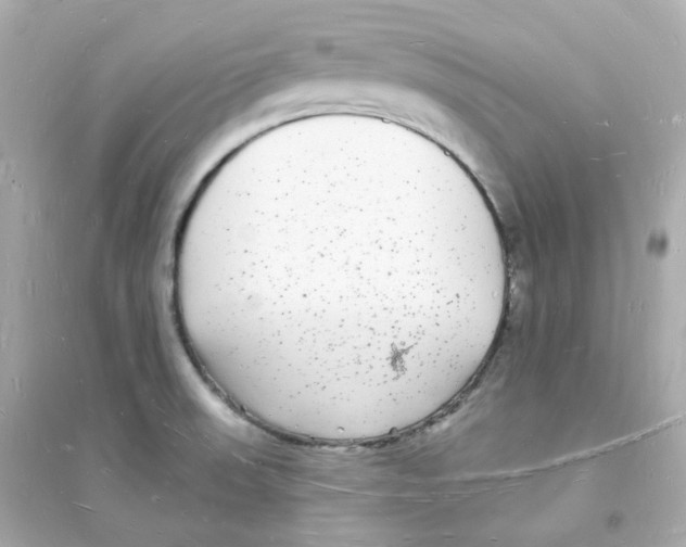 X0000093721523200711131001