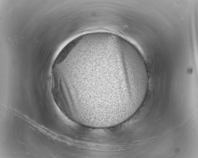 X0000093721524200711131001