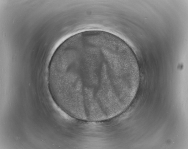 X0000093721527200711131001