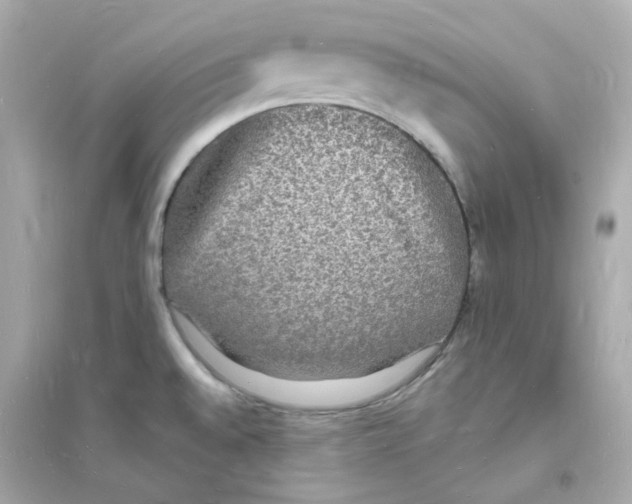 X0000093721528200711131001