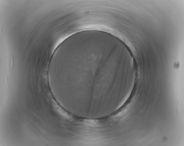 X0000093721529200711131001