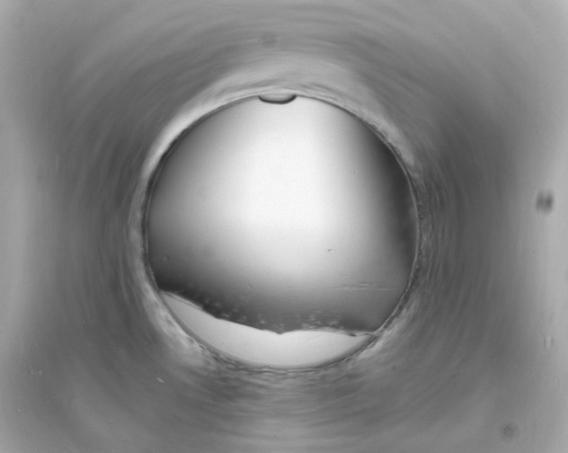 X0000093721530200711131001