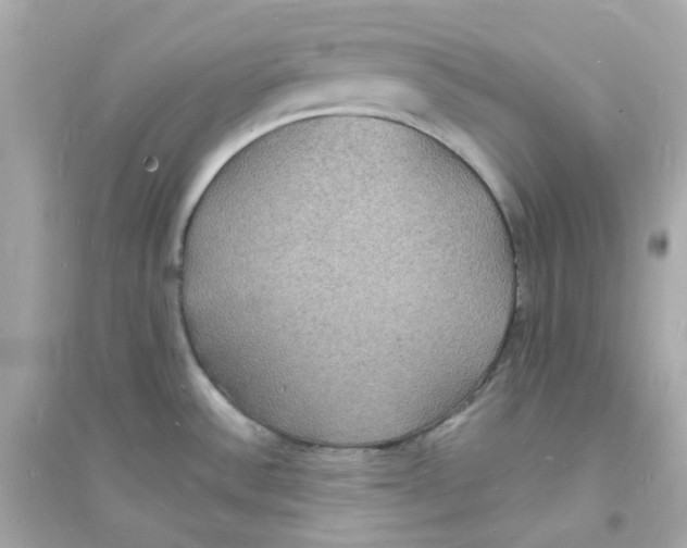 X0000093721532200711131001