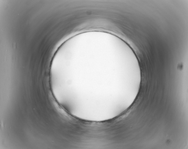 X0000093721534200711131001