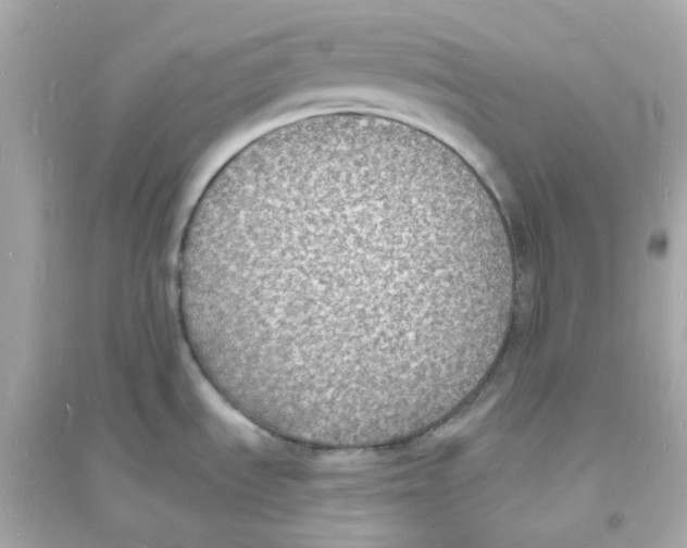 X0000093721535200711131001