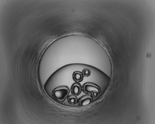 X0000093730001200710160824