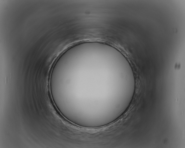 X0000093730002200710160824