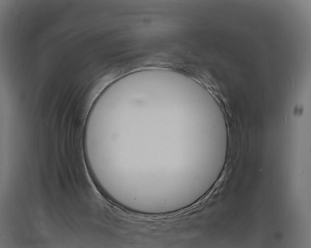 X0000093730003200710160824