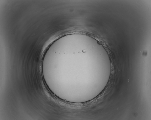 X0000093730004200710160824