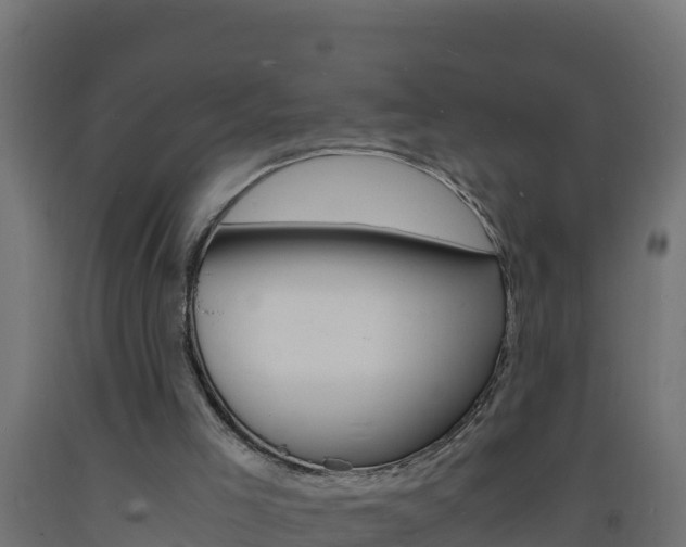 X0000093730005200710160824