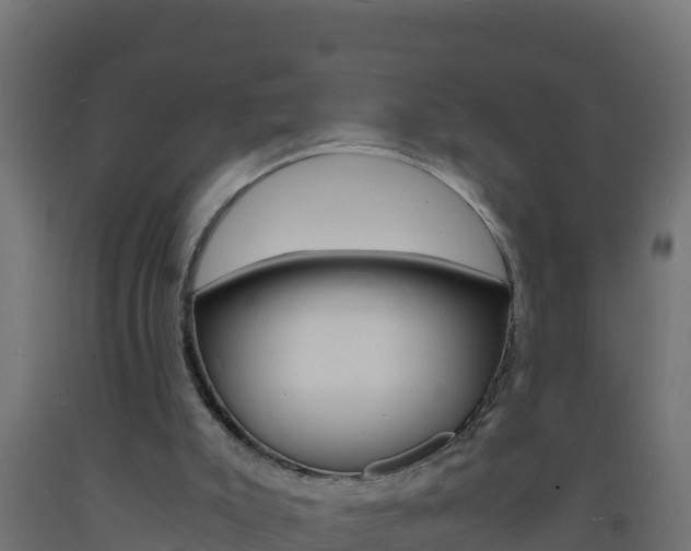 X0000093730007200710160824