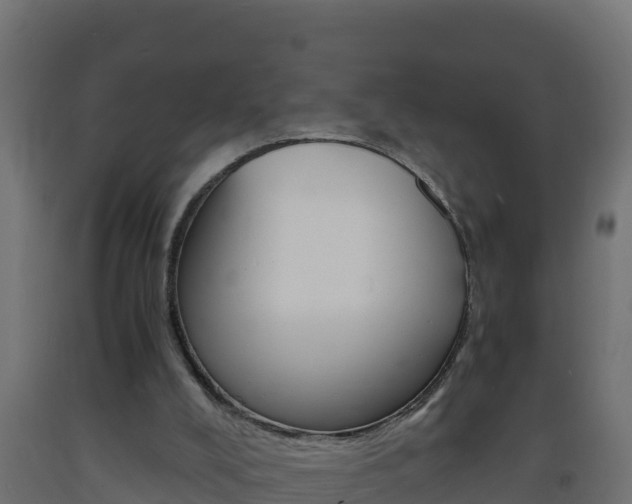 X0000093730008200710160824