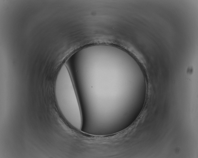 X0000093730009200710160824