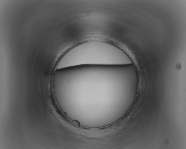 X0000093730010200710160824