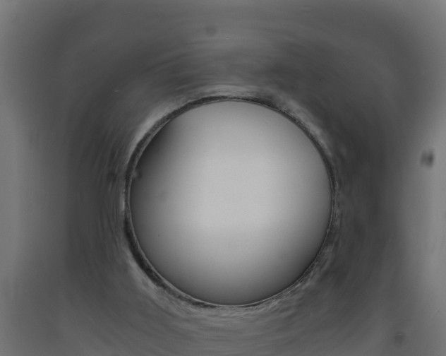 X0000093730011200710160824