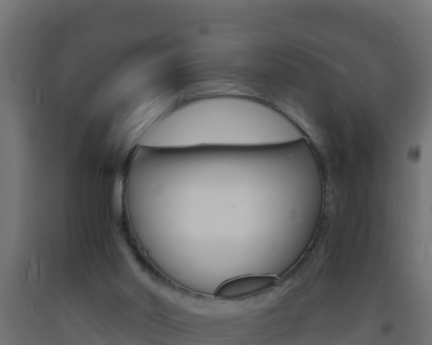 X0000093730014200710160824