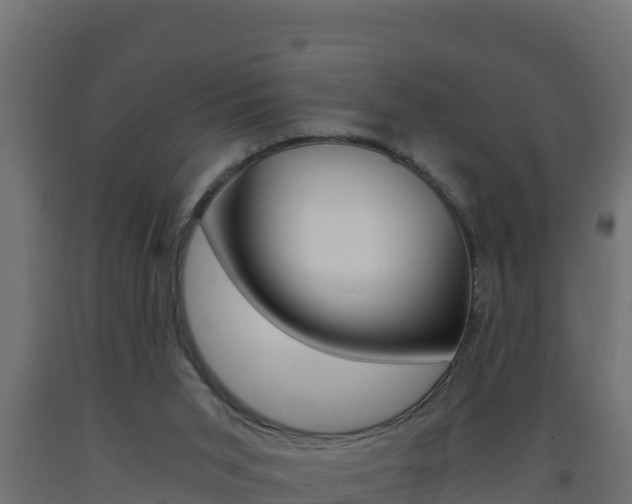 X0000093730015200710160824