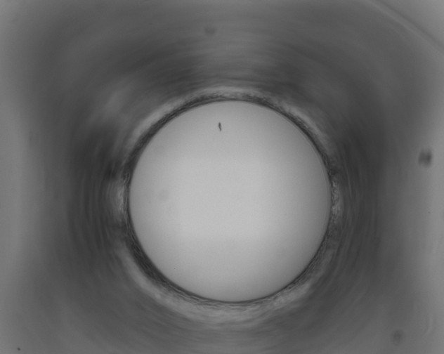 X0000093730016200710160824