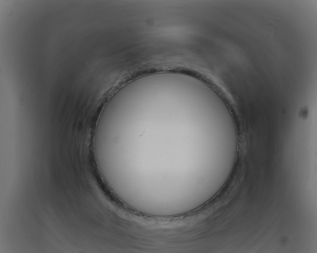X0000093730018200710160823