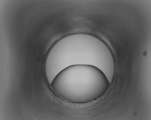 X0000093730019200710160823