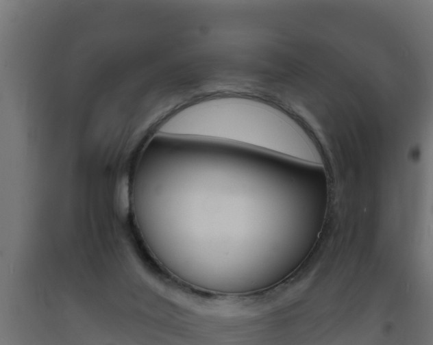 X0000093730020200710160823